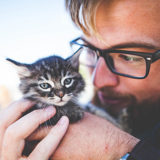 What is your cat saying to you?