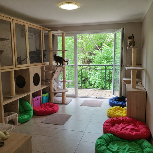 Finding Cat-Friendly Accommodations: Hotels, Rentals, and More