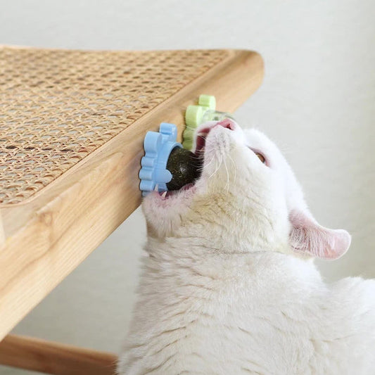Why Catnip Toys Drive Cats Wild — And Why Every Cat Needs One!