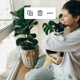 How to Make Your Home More Cat-Friendly: Tips and Tricks