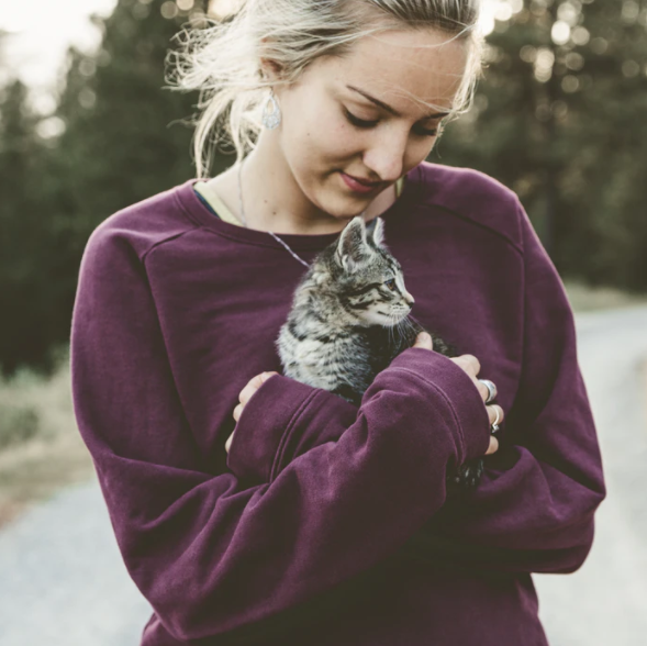 Have more fun with your cat when you are stuck alone.