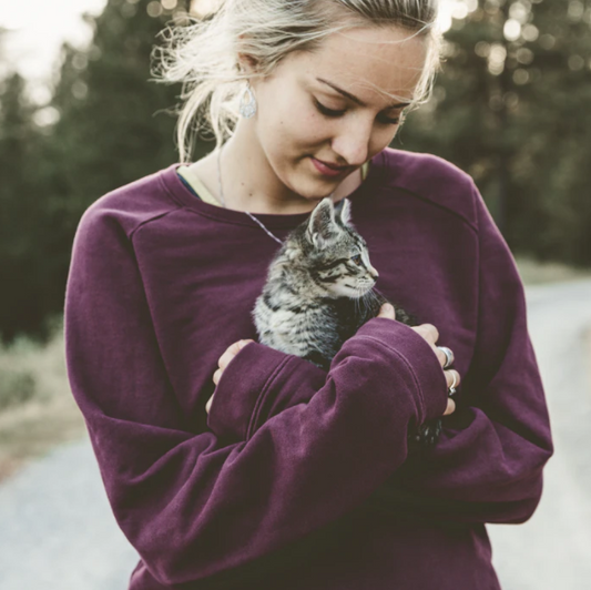 Have more fun with your cat when you are stuck alone.