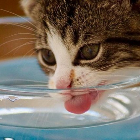 Water Water Everywhere, I still don't want to drink!