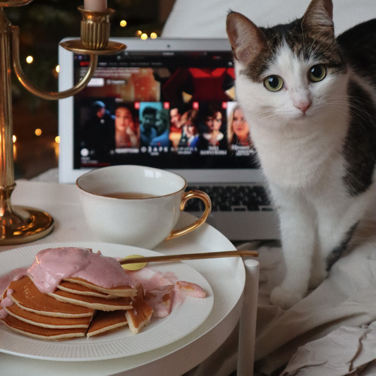 How to decide and switch cat food from wet to dry and vice versa?