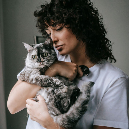 Taking Care of Your Senior Pet: 7 Tips for Their Golden Years