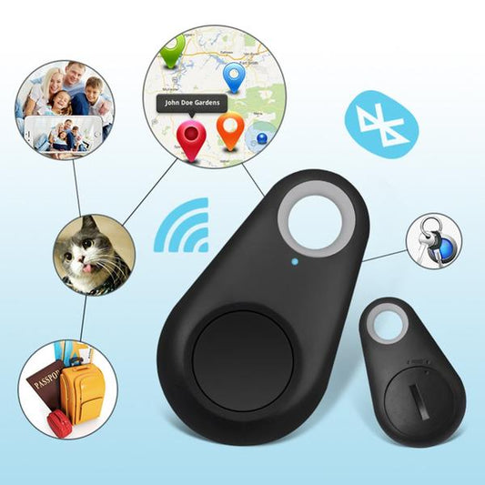 Now, Never Let Your Beloved Cat Out of Your Sight