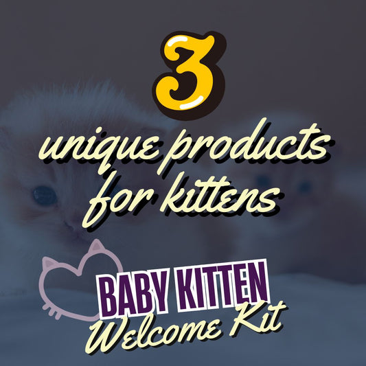 Baby Kitten Welcome Kit