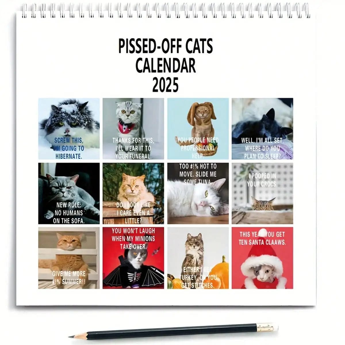 2025 angry cat calendar for cat lovers