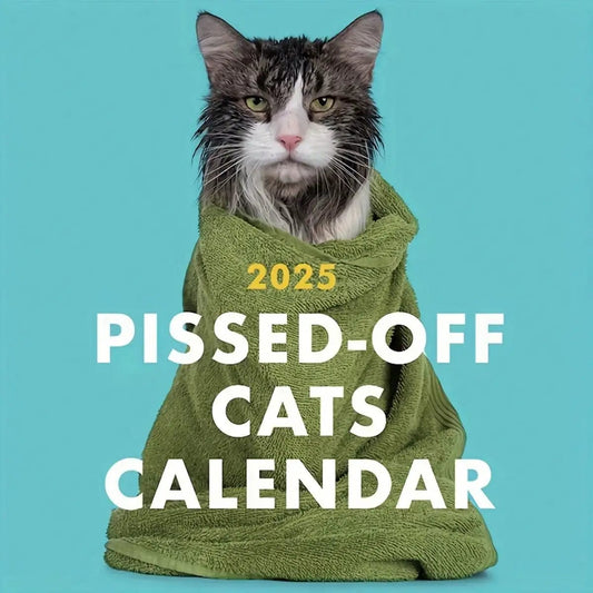 2025 grumpy cat calendar with funny captions