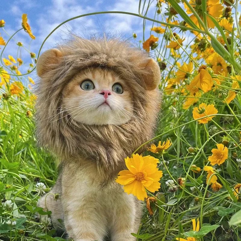 Adjustable furry lion mane cat costume for small cats