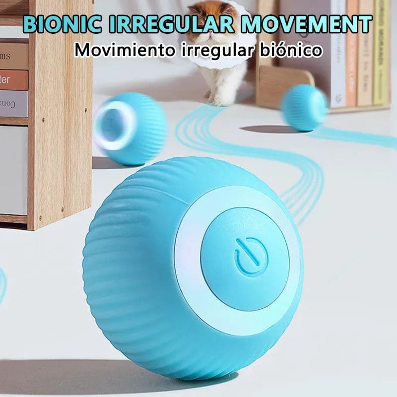 Best indoor interactive smart cat ball for active cats