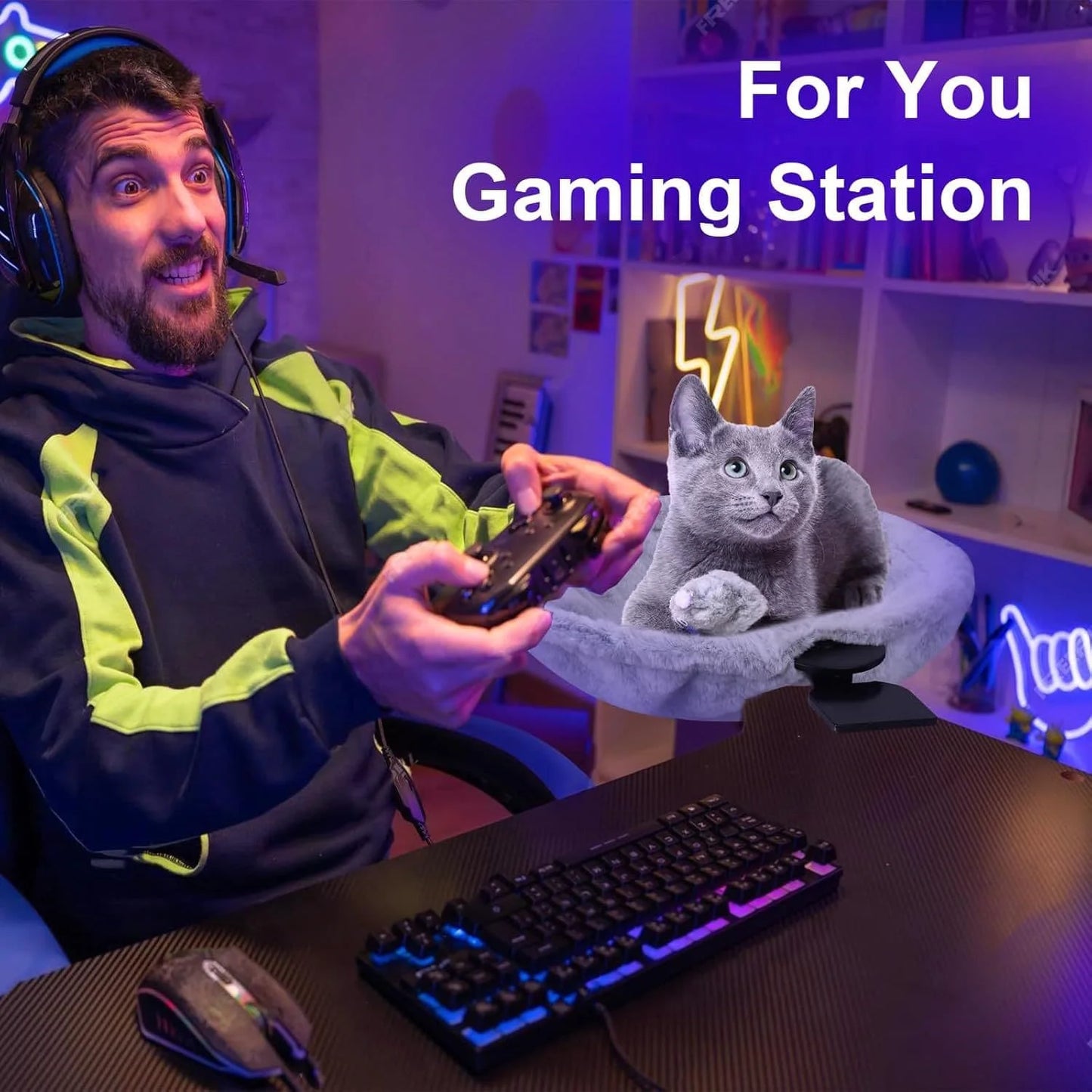 Person playing video games with a cat in a pet bed on a gaming station setup.