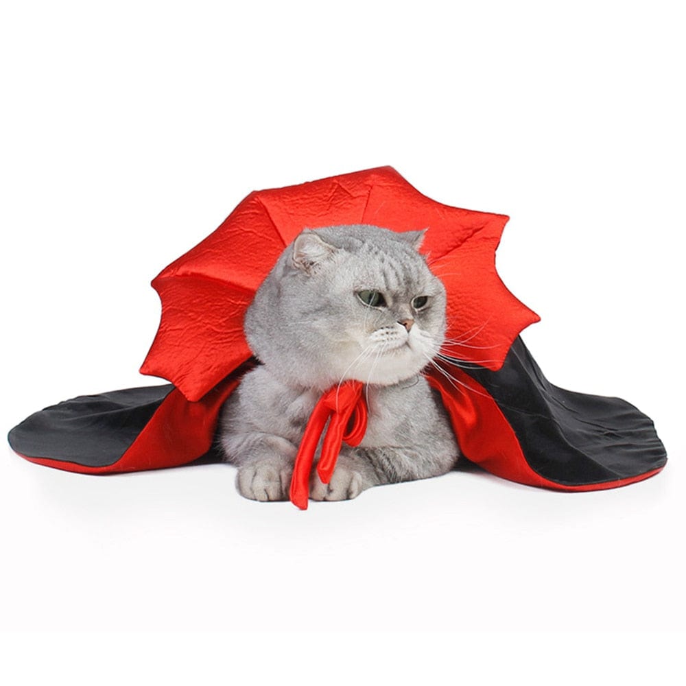 Cat vampire cape for spooky fun