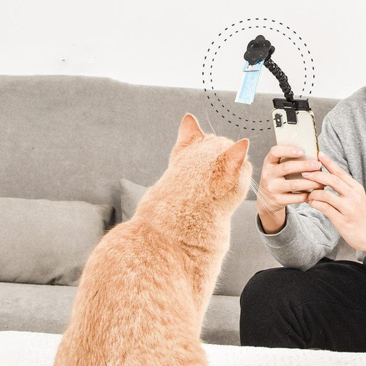 Cat Treat Selfie Stick in Use – Attention-Grabbing Pet Photography