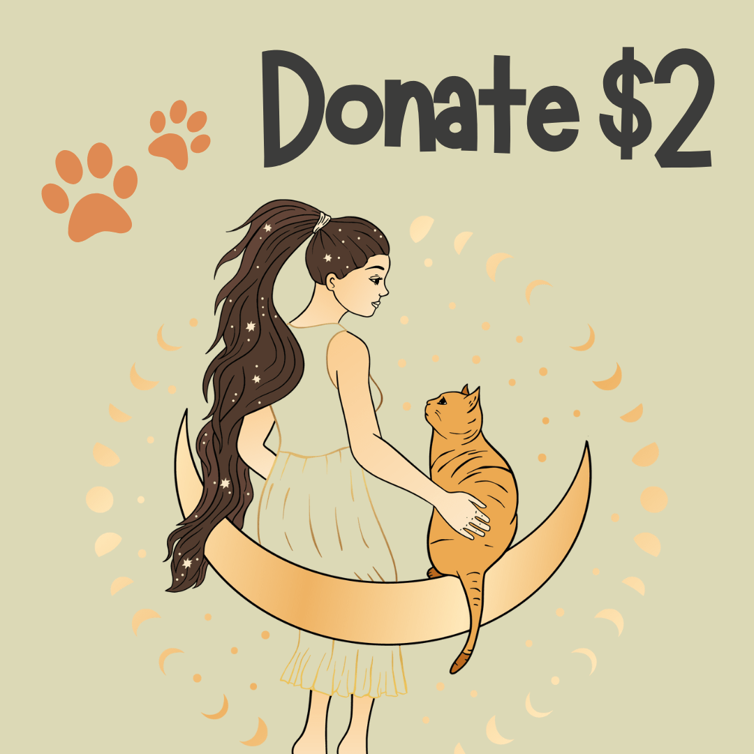 Donate to CatCurio