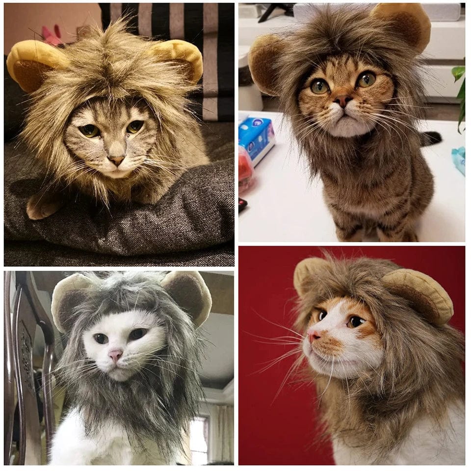 Cute lion mane wig costume for cats and small pets