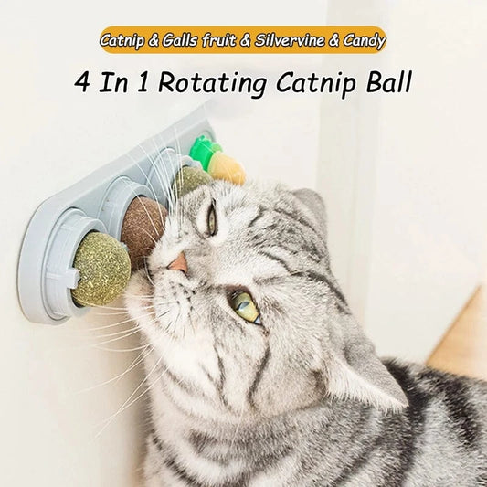 Four Catnip Ball Wall Toys