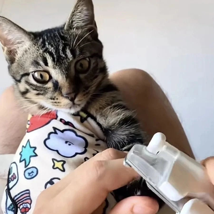 High-quality cat wrap designed by CatCurio