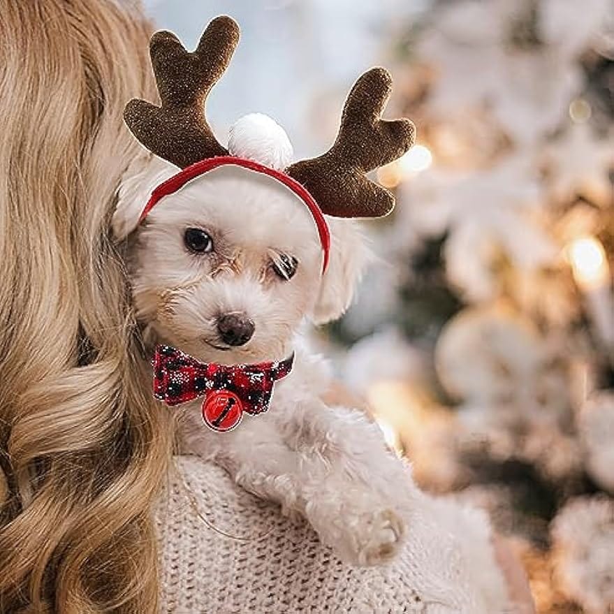 Jingle Bell Reindeer Cat Collar