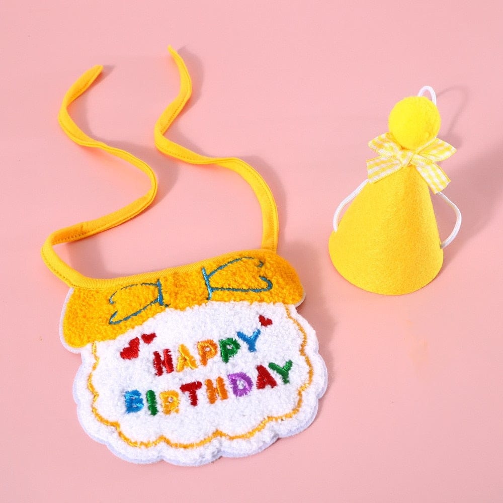 Cat birthday costume with hat and scarf