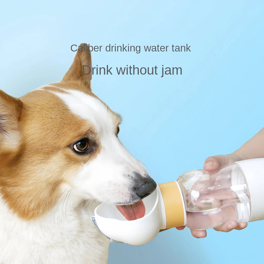 Lightweight travel water and food feeder for cats