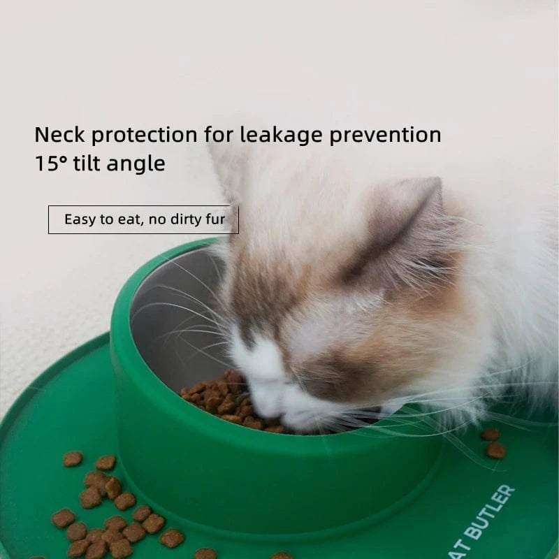 Non-slip anti-spill stainless steel cat food and water bowl