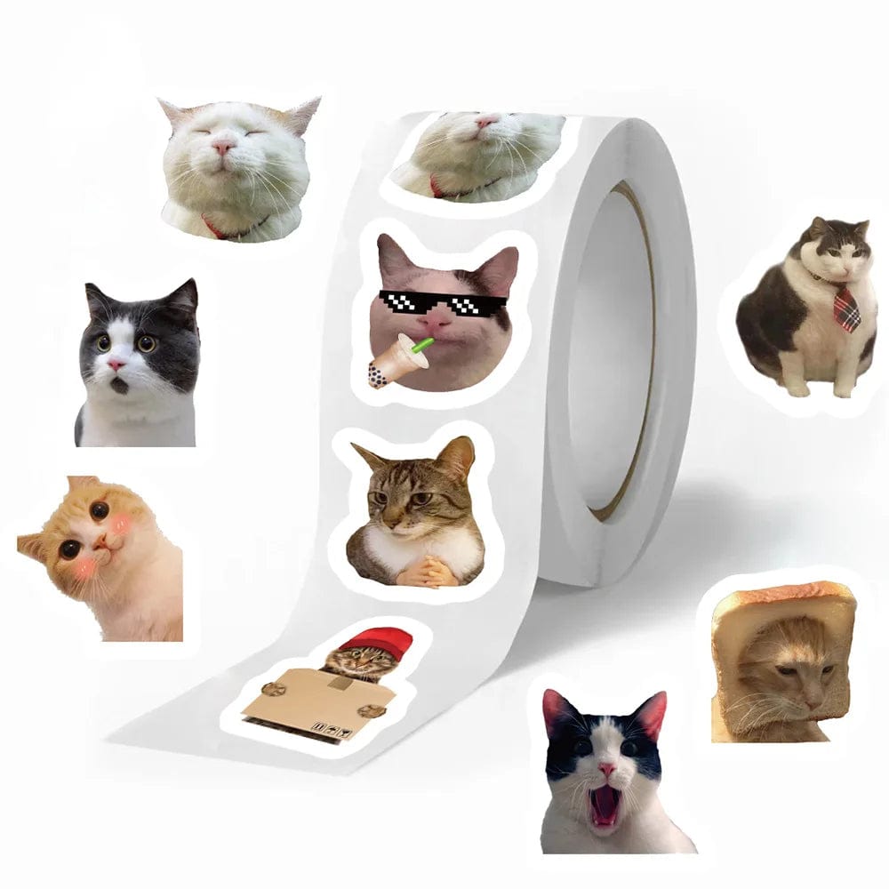 Personalized cat meme stickers for suitcases and guitars