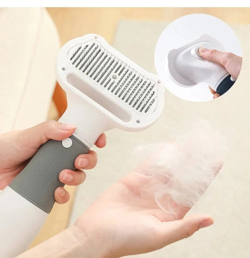 Professional-grade pet hair dryer with detachable filter