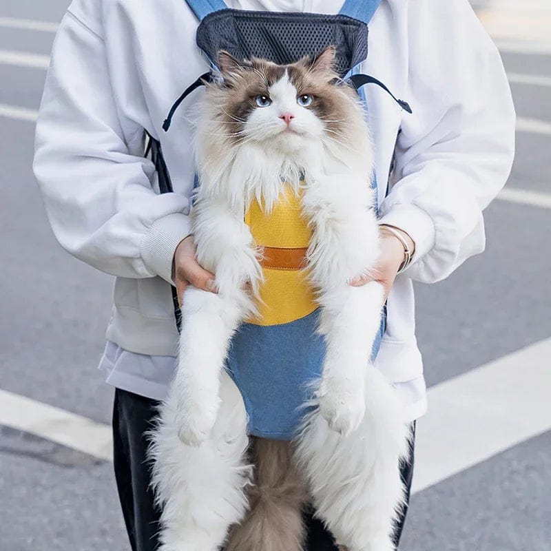 Portable Convenient Portable Cat Bag