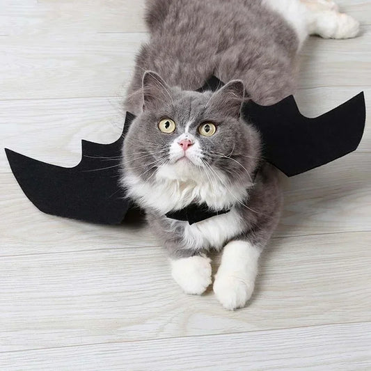 Cat Halloween Bat Wings Costume