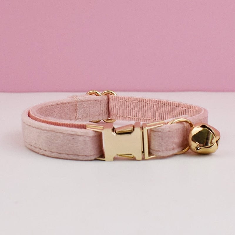 Velvet collar with personalized cat name tag and bow