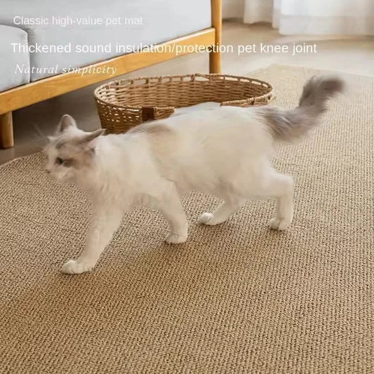 Cat walking on a textured carpet with promotional text overlay