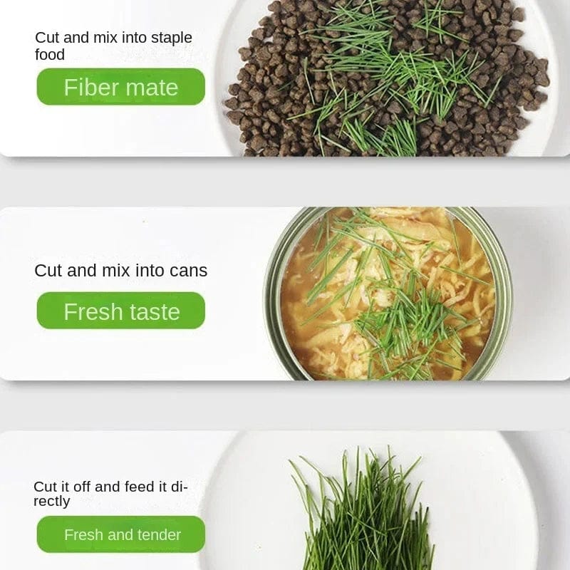 easy-care hydroponic cat grass planter for pets
