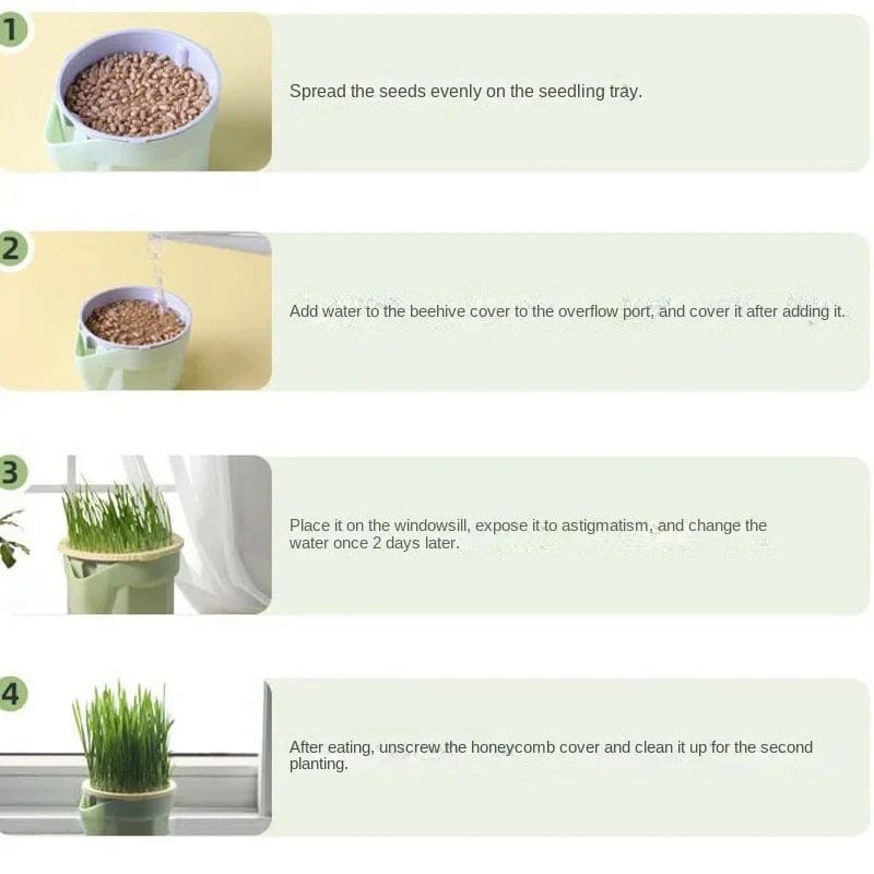 eco-friendly hydroponic cat grass dish