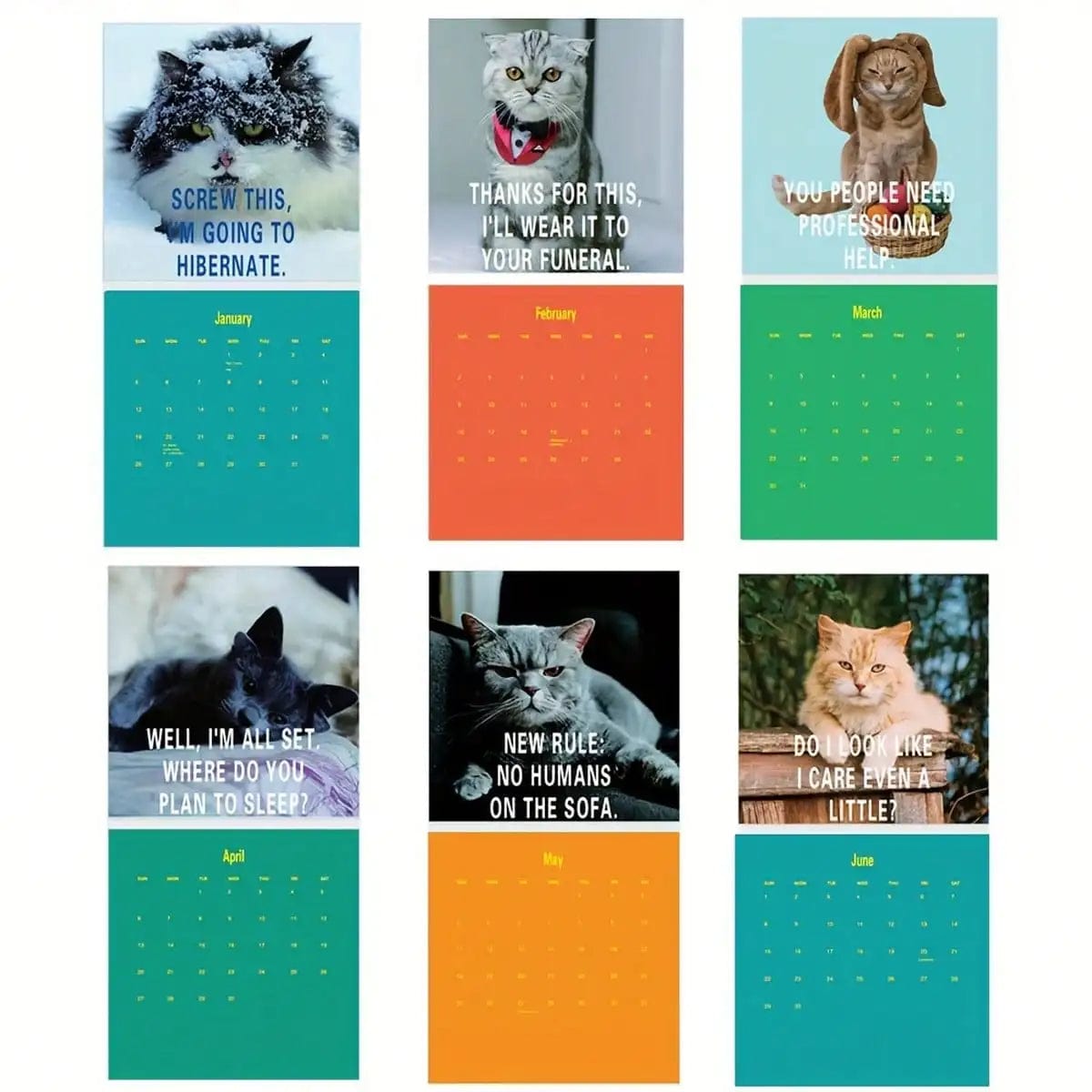 funny pissed-off cats monthly planner 2025