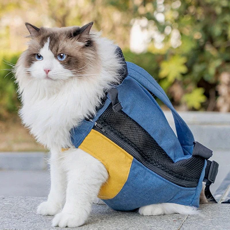 lightweight canvas cat backpack for travel