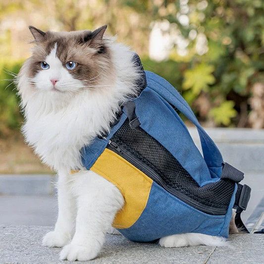 lightweight canvas cat backpack for travel