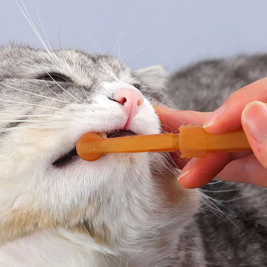 silicone double-sided cat toothbrush kit