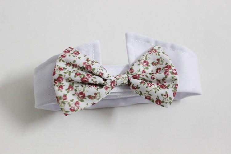 bow ties for cats, cat collar bow tie bow tie for cats, diy