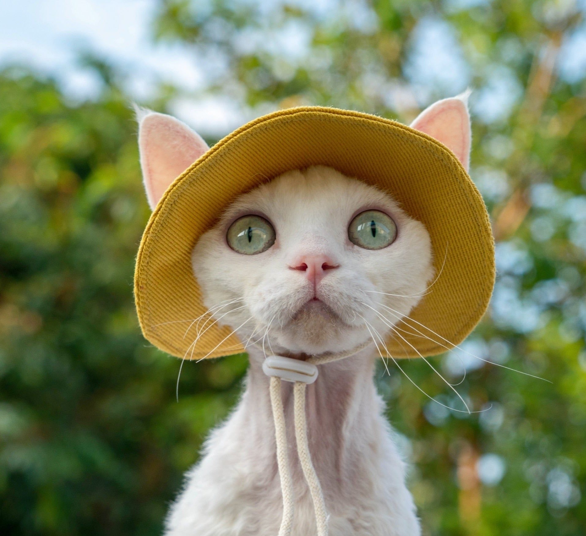 Adjustable travel sunscreen cat hat for cats,Cat Kitten Hats Sphynx Pet Supplier Cat Sleeveless Cotton Hat Sunscreen Travel Hiking Tie Dye Adjustable Hats