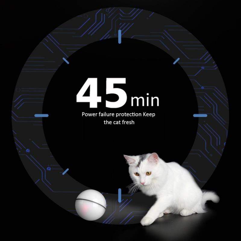 Battery-powered smart cat ball for active cats