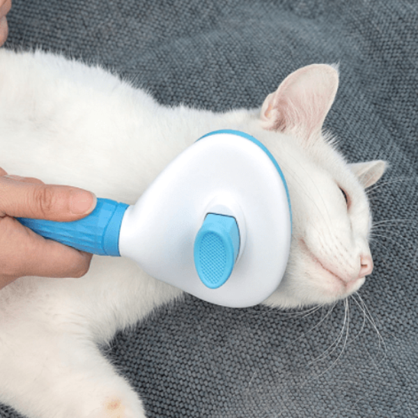 Cat Hair Grooming Tools, Best Cat Hair Brush & Comb for Shedding Best Cat Hair Brush & Comb for Shedding