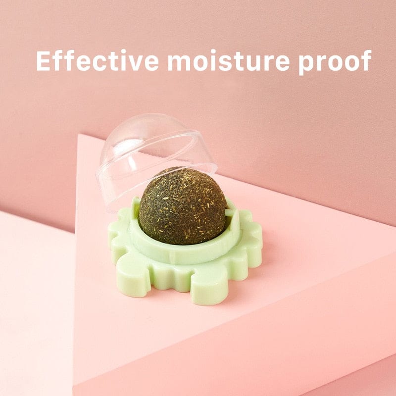 Safe catnip ball toy treats for cats licking snacks
