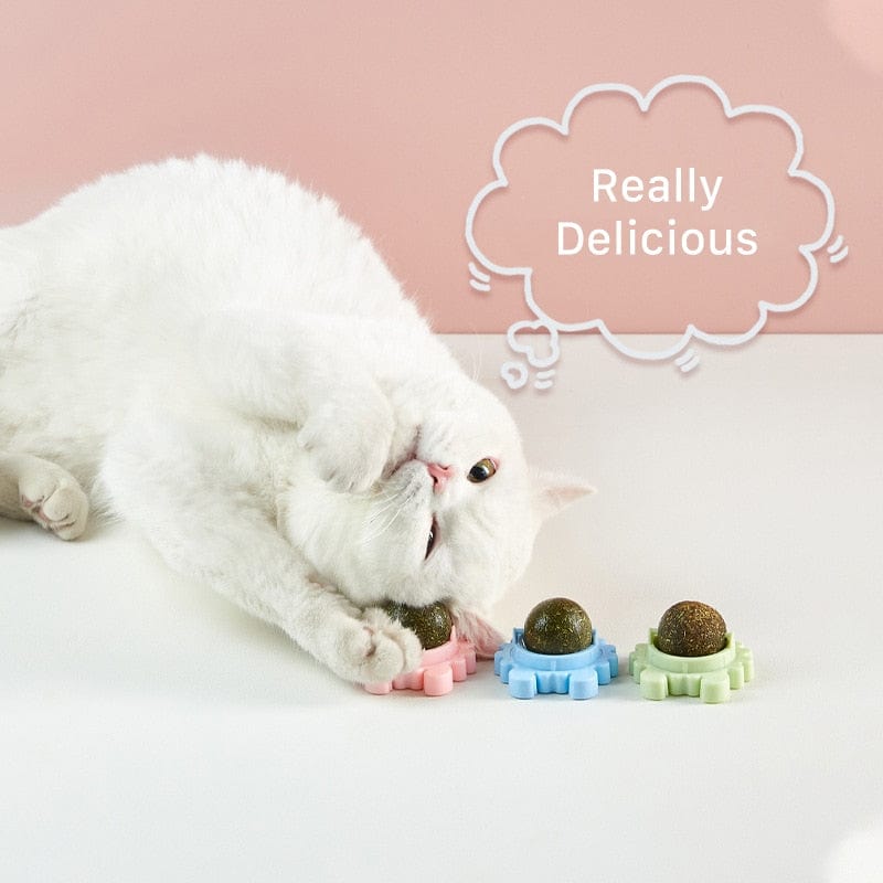 Catnip ball toy for playtime catnip candy and toy