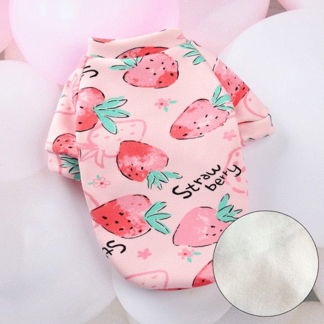Cozy feline outfit sphynx clothes for cats