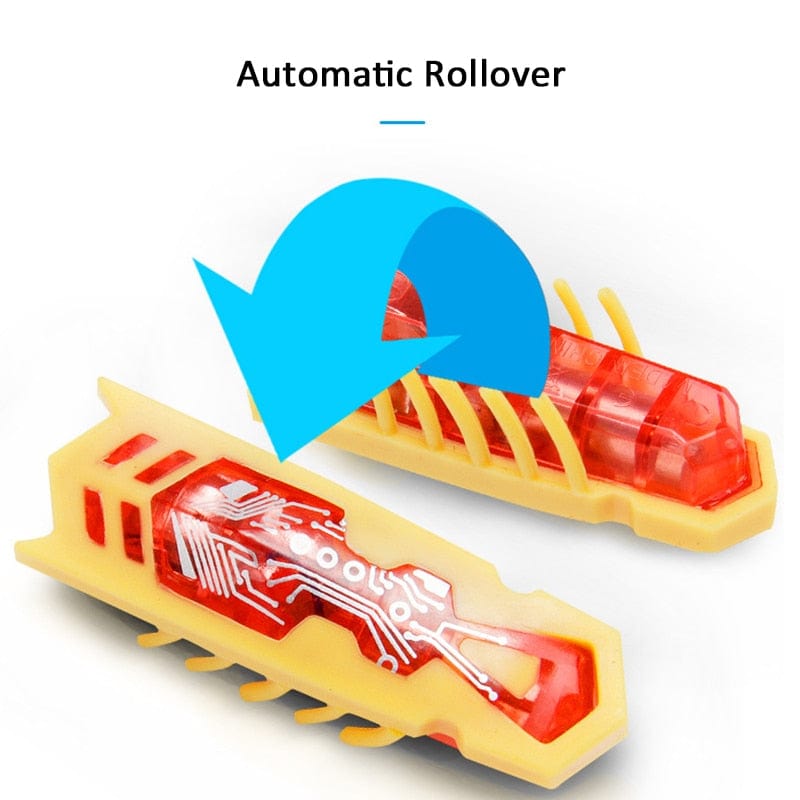 Catnip-infused electric bug toy for cats insect toy for cat