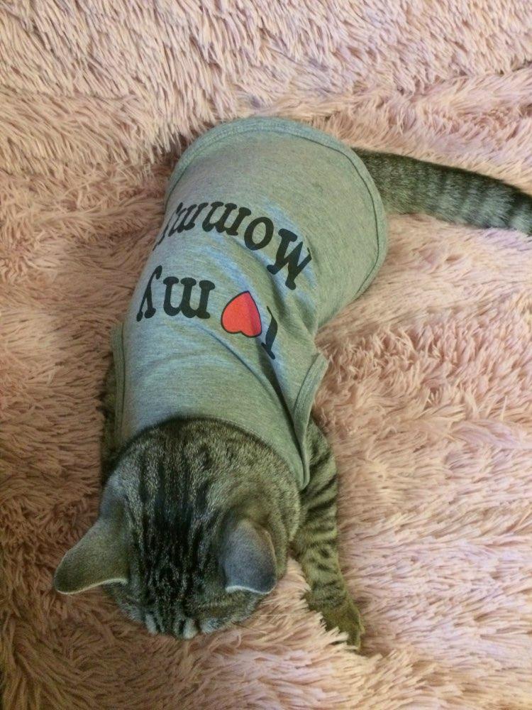 I Love My Mommy - Daddy Cat Vest