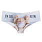 Funny cat printed briefs