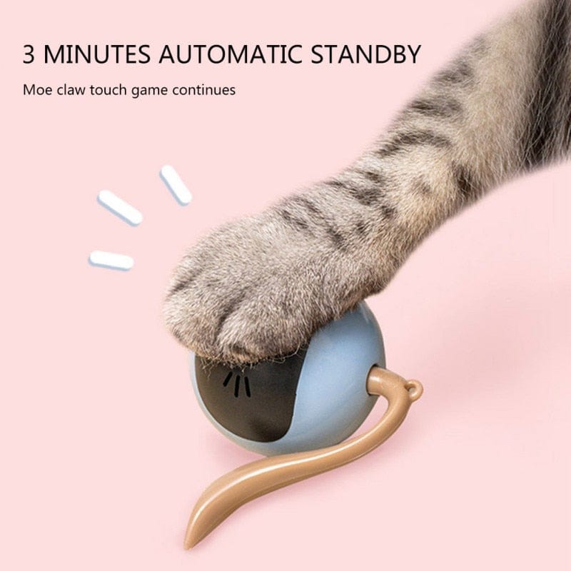 Interactive smart cat ball that rotates on its own