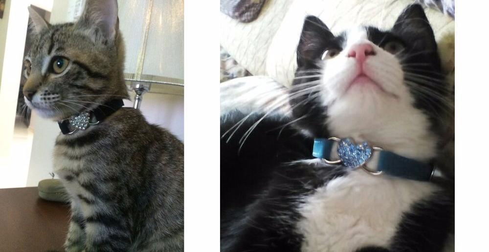 Rhinestones Heart Cat Collar